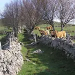 Bon Aubrac Pour 12 Personnes Les Hermaux