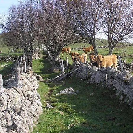 Bon Aubrac Pour 12 Personnes Les Hermaux