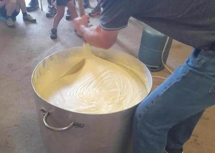 Bon Aubrac Pour 12 Personnes Les Hermaux
